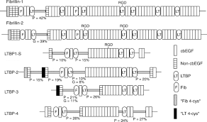 A mutation, which may arise during replication and/or recombination, is a permanent change in the dna repair is regulated in mammalian cells by a sensing mechanism that detects dna damage and activates a protein called p53. The Molecular Genetics Of Marfan Syndrome And Related Microfibrillopathies Journal Of Medical Genetics