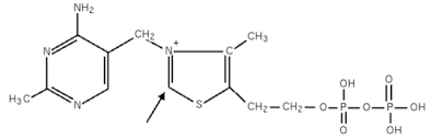 Mithilfe des enzyms thiaminpyrophosphokinase wird es zunächst zu thiaminpyrophosphat (tpp, auch thiamindiphosphat, tdp) umgewandelt. Thiamine Pyrophosphate Wikipedia