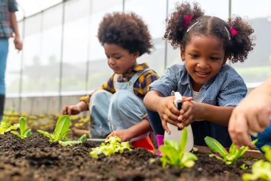 Seasonal Planting Calendar Guide