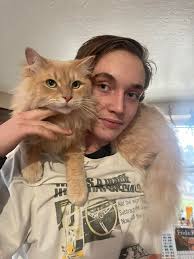 Where to find a chase costume for a 4-6 year old?