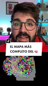 El MAPA MÁS COMPLETO DEL CEREBRO 🤯 #ciencia #cienciaentiktok #cerebro  #tecnologia