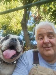 What could be causing my dog's vomiting and drooling?