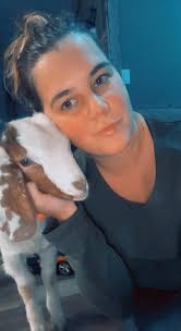 I'm crossbreeding Boer buck with Matebele does. The other doe there I  highly suspect is a Savannah, crazy things is that unlike the rest of the  offsprings, this kid has not even