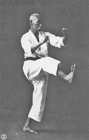 Karate combat was founded in order to promote karate as. Karate Wikipedia