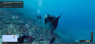 Check spelling or type a new query. Google Street View Goes Underwater Lets You Explore The Oceans Neowin