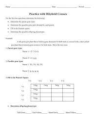 Dihybrid punnett square practice problems. Dihybrid Punnett Square Practice Problems Genetics Mcat Biology Some Of The Worksheets For This Concept Are More Punnett Square Practice 11 Punnett Square Work Practice With Monohybrid Punnett Squares Dihybrid
