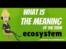 What Is Ecosystem What Does Ecosystem Mean Ecosystem Meaning Definition Explanation Youtube