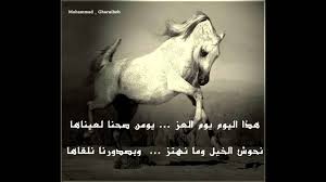 شعر عن الخيل اشعار كتبت عن الخيل حبيبي