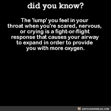 Did You Know How Are You Feeling Psychology Facts Medical Facts