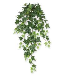 Our fence is an artificial ivy leaf screen with realistic looking leaves. Artificial Green Ivy Trailing Plant 75 Cm Maxifleur Artificial Plants
