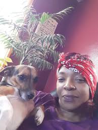 Missing 15-year-old dog in Henry St & Williams Ave area