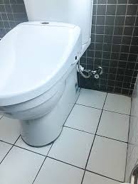 Make sure you know the requirements such as shutting off the water before doing it. Dlucci Smart Bidet Toilet Seat Installation Cost Sydney