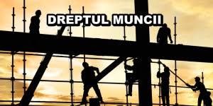 Activitatea imsp cs cimislia anul 2020. Contract Colectiv De Munca Incheiat La Nivel De Sector De Constructii Patronatul SocietÄÈilor Din ConstrucÈii Psc