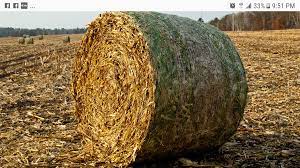 We did not find results for: Corn Stalks Archives Haymap