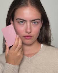 Image result for Peach Pink 1977 Hussmann