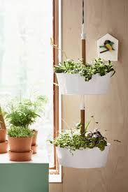 Bittergurka Ampel Weiss Ikea Deutschland Hangender Garten Pflanzen Dekor Garten