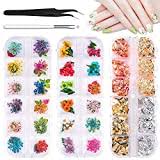 2 boxes dried flowers for nail art, kissbuty 24 colors dry flowers mini real natural flowers nail art supplies 3d applique nail decoration sticker for tips manicure decor (daffodil hydrangea daisy). Top 10 Dried Flower For Nails Of 2021 Best Reviews Guide
