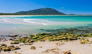 We did not find results for: Diamond Head Campground Nsw National Parks Beach Camping Camping Spots Best Campgrounds