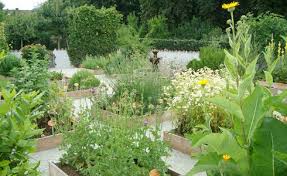 We did not find results for: Hildegard Forum Der Kreuzschwestern Bingen Medicinal Herb Garden In Accordance With Hildegard Of Bingen