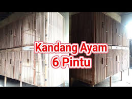Kandang dengan model seperti ini sudah lama sekali saya produksi namun kali ini baru sempat saya refiewkan buat yang mungkin saja lagi butuh inspirasi mau biat kandang ayam kesayangannya seperti apa. Kandang Ayam 6 Pintu Tingkat Bongkar Pasang Youtube