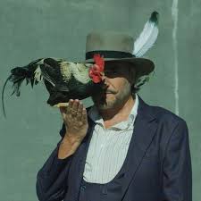 Étrange, chenilles, papillons et nocturne. Stephan Eicher Songs Albums And Playlists Spotify