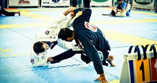 Israel De Sousa Almeida Bjj Heroes