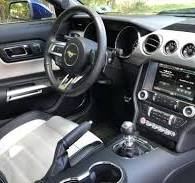 2015 Ford Mustang GT 50 Years Limited Edition Coupe for Sale ...