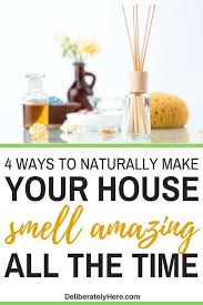 Maybe you would like to learn more about one of these? 4 Hacks To Make Your House Smell Good When It S Always Stinky