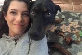 Long gone are the kennels with cold cement floors, wire crates and dried kibble. Dog Hotel Home Pet Boarding In Marburg Germany Metropolitan City Of Florence Florence Dog Boarding Petbacker Tuscany