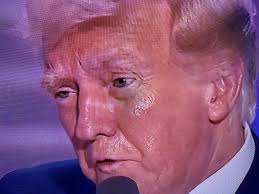 Post by Molly Jong-Fast (@mollyjongfast)