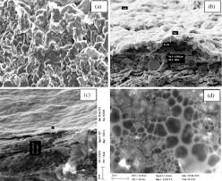 Utk yg butuh cepat mengukur saturasi oksigen dalam darahnya, ada aplikasi namanya 02 meter. Application Of A New Ceramic Hydrophobic Membrane For Providing Co2 In Algal Photobioreactor During Cultivation Of Arthrospira Sp Sciencedirect