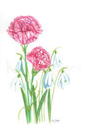 Carnation And Snowdrop January Birthday Flower Original Watercolor Painting Birth Month Flower Januar Birth Month Flowers Birth Flower Tattoos Month Flowers