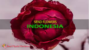 Maybe you would like to learn more about one of these? 6 Best Options To Send Flowers To Indonesia 2021
