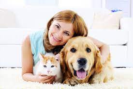 Maybe you would like to learn more about one of these? The Pet Spa In Eagan Mn Saveon