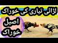 On a computer it is usually for the desktop, while on a mobile phone it. Aseel Kukar Ki Tayari Mp3 Mp3 Download