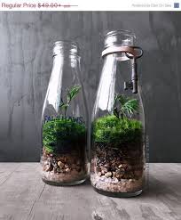 Milk Jug Garden Ideas Awesome Sale Milk Bottle Terrarium Live Plants Vintage By Bottle Garden Bottle Terrarium Glass Bottle Diy