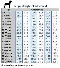 Puppy Weight Chart This Is How Big Your Dog Will Be Dog