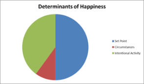 File Happiness Pie Chart Based On Lyubomirsky Book Png