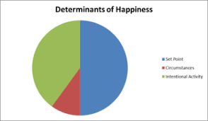 file happiness pie chart based on lyubomirsky book png