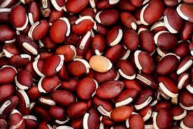 The high quality legume is ideal for food plots, especially for deer. How To Grow Hyacinth Bean Vines Gardener S Path