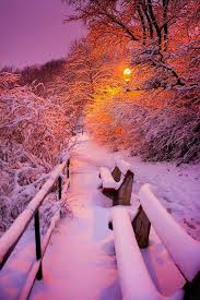 Te Espere Tanto Tiempo Hoy La Nieve Cae Donde He De Sentarme A Esperarte Ahora Paisaje Nieve Fotografia Paisaje Paisaje Invernal