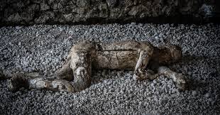 With DNA, Pompeii Narratives Take a Twist - The New York Times