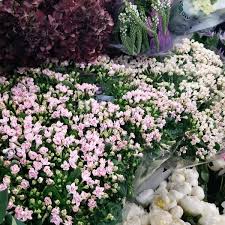 Wholesale flowers overnight.we're proud to be the leading online wholesale flower company serving the public and retailers directly with the largest. G Page Wholesale Flowers Chelsea 2 Tips From 65 Visitors
