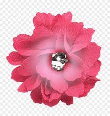 Check spelling or type a new query. Hot Pink Flower Pink Flowers Free Transparent Png Clipart Images Download
