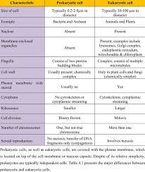 1 Principal Differences Between Prokaryotic Cells And Eukaryotic Cells Download Table Prokaryotic Cell Eukaryotic Cell Study Biology
