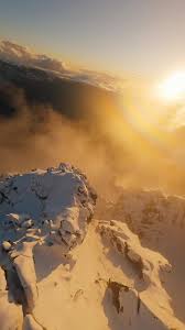 Image result for Light Brown 1988 Corsica