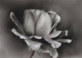 Black And White Pencil Drawings Of Flowers Easy Charcoal Drawings Flowers Bing Images Charcoal Drawing Easy Charcoal Drawings Pencil Drawings