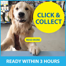 If you want your pet store to be remembered by everyone and to boost your company's growth, you should see the ideas shared here!!! Peto Australia S Largest Dog Cat Store Pet Store