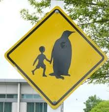 Down Under Nz Penguins Funny Signs Signs