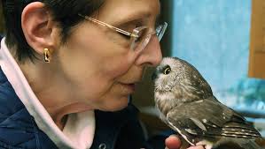 An intimate relationship: Mass. artist makes a family of raptors